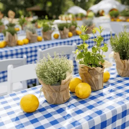 Tuintafels gedekt met blauw wit geruiten tafelkleden - Bamar Lifestyle