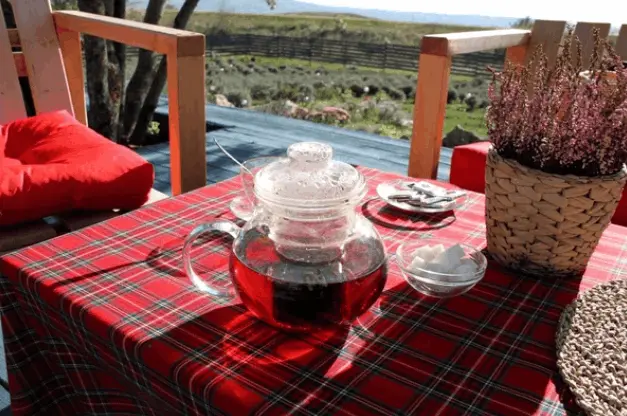 Buitenkleed Windsor Schotse ruit rood - Bamar Lifestyle